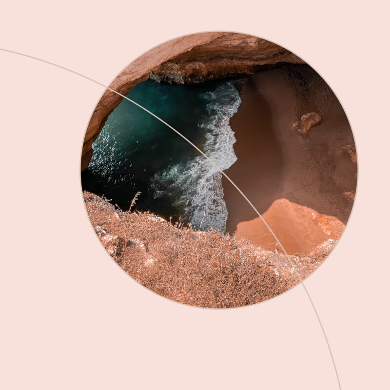 PLU Website Ho E Main 11